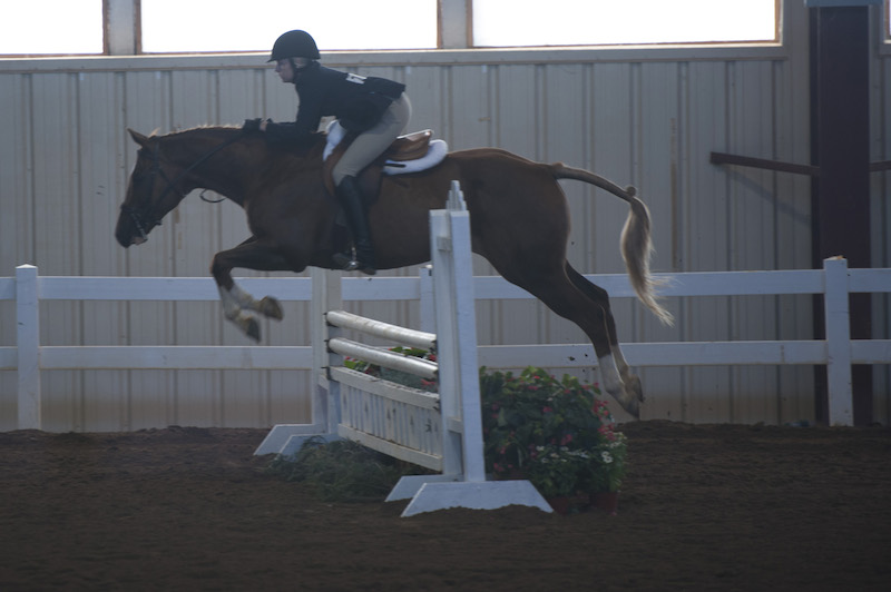 Equestrian